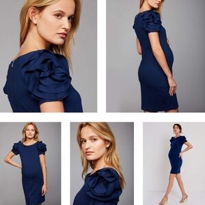 Pietro Brunelli maternity dress